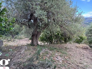 Casa Indipendente in Vendita a Patti, 50'000€, 135 m²