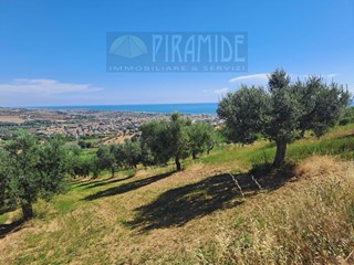 Terreno edificabile in Vendita a Tortoreto, 129'000€, 40000 m²