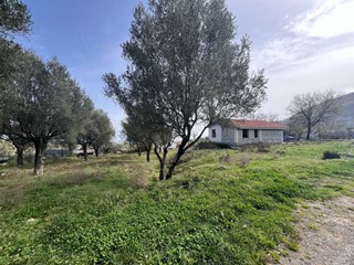 Casale in Vendita a San Giovanni a Piro, 160'000&euro;, 65 m²