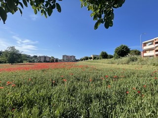 Terreno edificabile in Vendita a Mosciano Sant'Angelo, 195'000€, 13000 m²