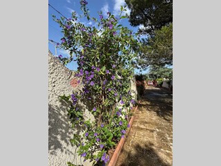 Villa in Vendita a Martina Franca, 150'000€, 152 m²