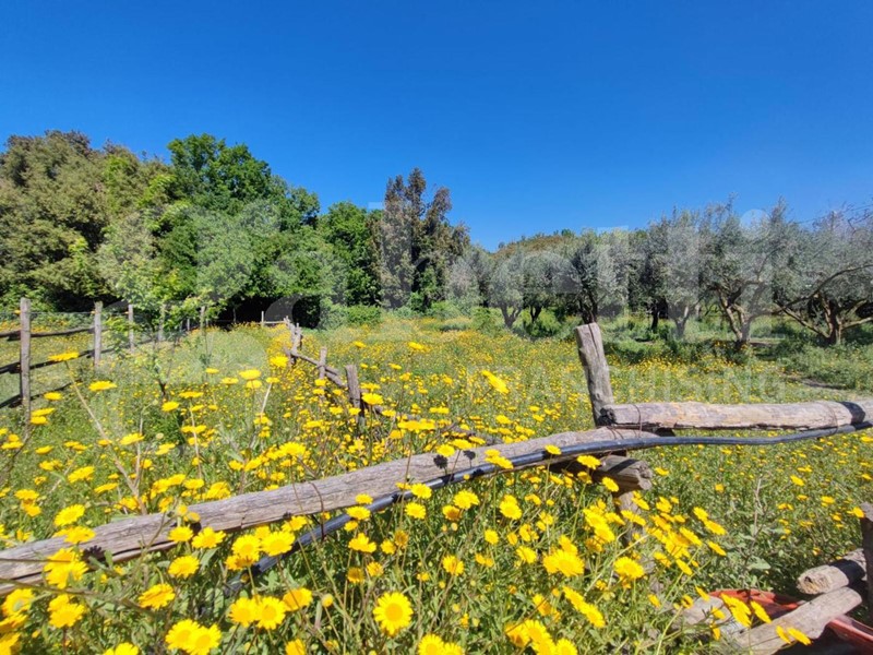 Casale in Vendita a Sessa Aurunca, 570'000€, 570 m²