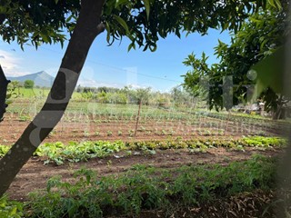 Terreno agricolo in Vendita a Vitulazio, 150'000€, 2000 m²