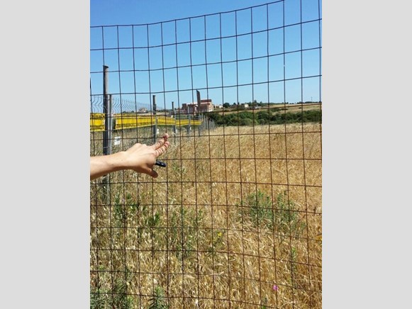 Terreno agricolo in Vendita a Sassari, zona Lla Tiribba , 37'000€, 37500 m²
