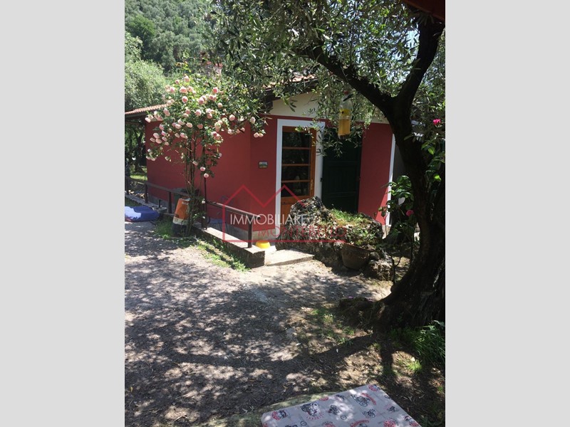 Terreno agricolo in Vendita a Camaiore, zona Montebello, 150'000&euro;, 2800 m²