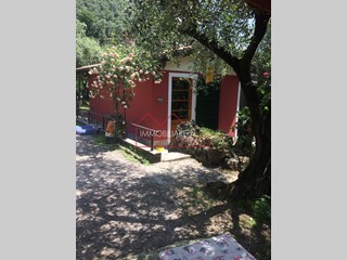 Terreno agricolo in Vendita a Camaiore, zona Montebello, 150'000&euro;, 2800 m²