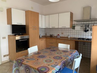 Trilocale in Vendita a Rosignano Marittimo, 55 m², arredato