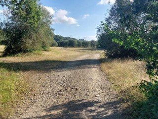 Villa in Affitto a Firenze, 3'400€, 200 m², arredato