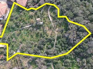Terreno agricolo in Vendita a Aci Castello, 145'000€, 10500 m²