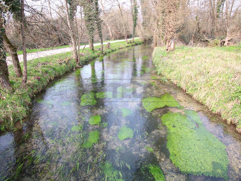 Terreno agricolo in Vendita a Villaverla, 320'000&euro;, 70300 m²