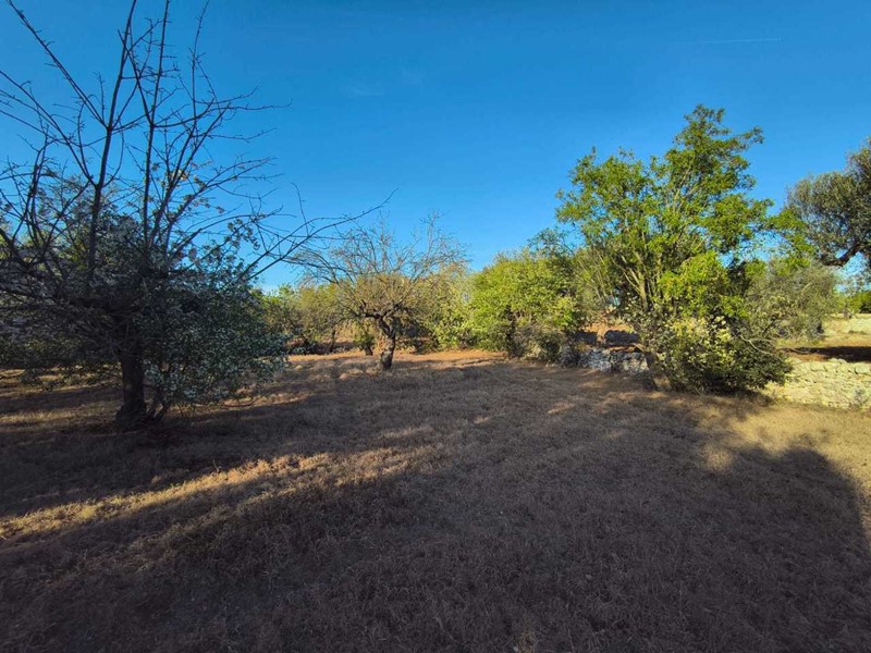 Terreno agricolo in Vendita a Polignano a Mare, 39'000€, 3600 m²