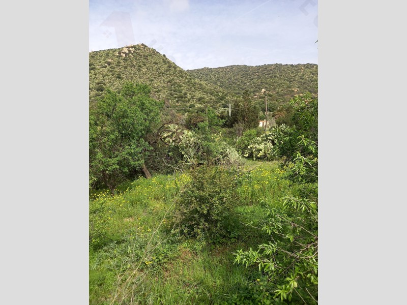 Terreno agricolo in Vendita a Maracalagonis, zona Torre Delle Stelle, 70'000&euro;, 35000 m²