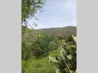 Terreno agricolo in Vendita a Maracalagonis, zona Torre Delle Stelle, 70'000&euro;, 35000 m²