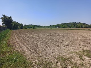 Terreno agricolo in Vendita a Barbarano Mossano, zona Ponte Di Mossano, 100'000&euro;, 17369 m²