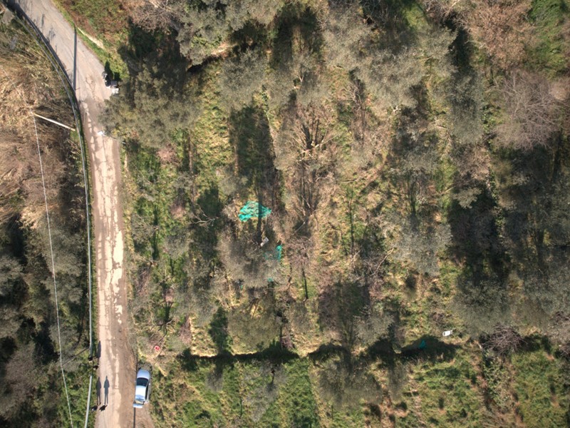 Terreno agricolo in Vendita a Savona, zona Marmorassi, 25'000€, 