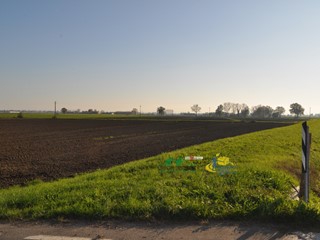 Terreno agricolo in Vendita a Parma, zona Parma Frazioni - Delegazioni, 195'000€, 66620 m²