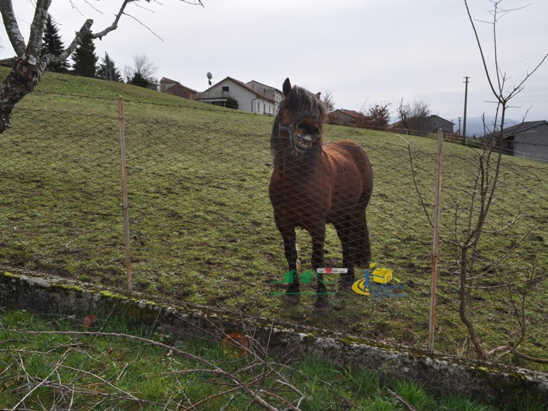 Casa Indipendente in Vendita a Bardi, 150'000&euro;, 546 m²