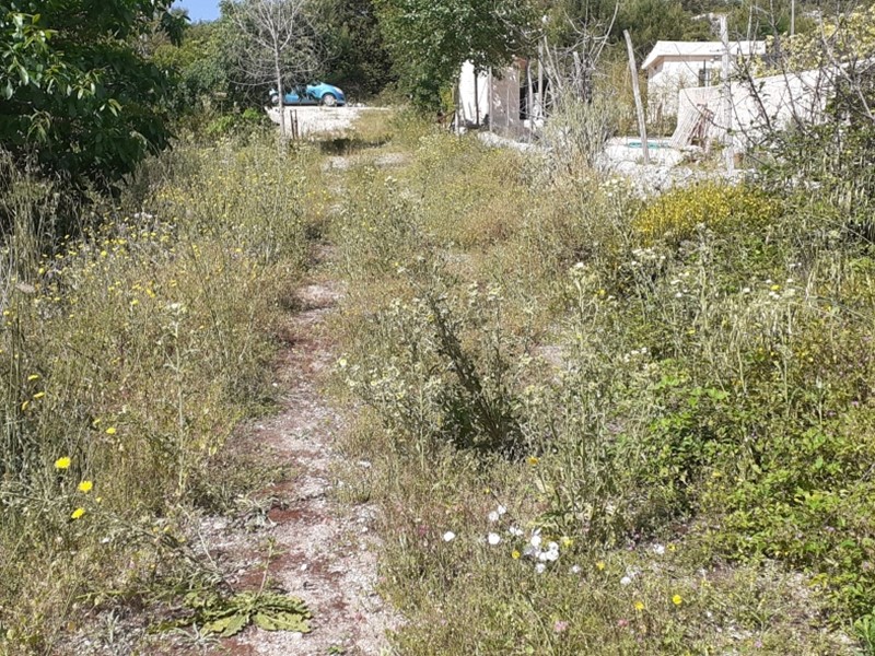 Terreno agricolo in Vendita a Noto, 75'000€, 13000 m²