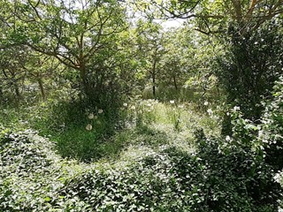 Terreno agricolo in Vendita a Noto, 75'000€, 13000 m²