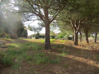 Terreno industriale in Vendita a Siracusa, zona Scala Greca-Pizzuta, 79'000€, 660 m²