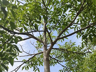 Terreno agricolo in Vendita a Noto, 60'000€, 40000 m²