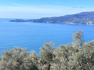 Casa Indipendente in Vendita a Zoagli, 800'000€, 140 m²