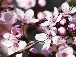 Attività commerciale in Vendita a Bologna, zona Mazzini, 150'000€, 1000 m², arredato