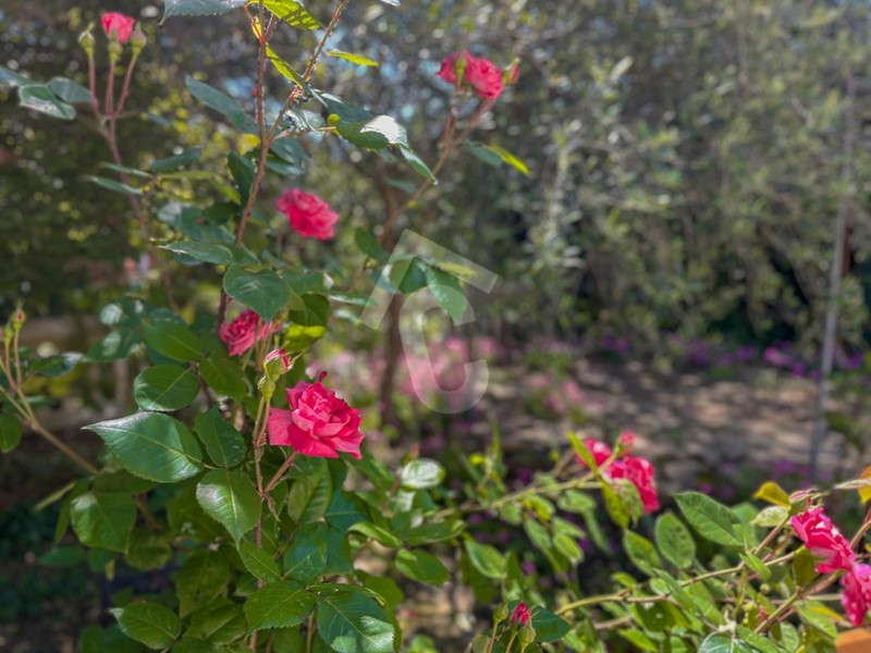 Casa Indipendente in Vendita a Jesi, zona ZONA 5B, 235'000€, 215 m²