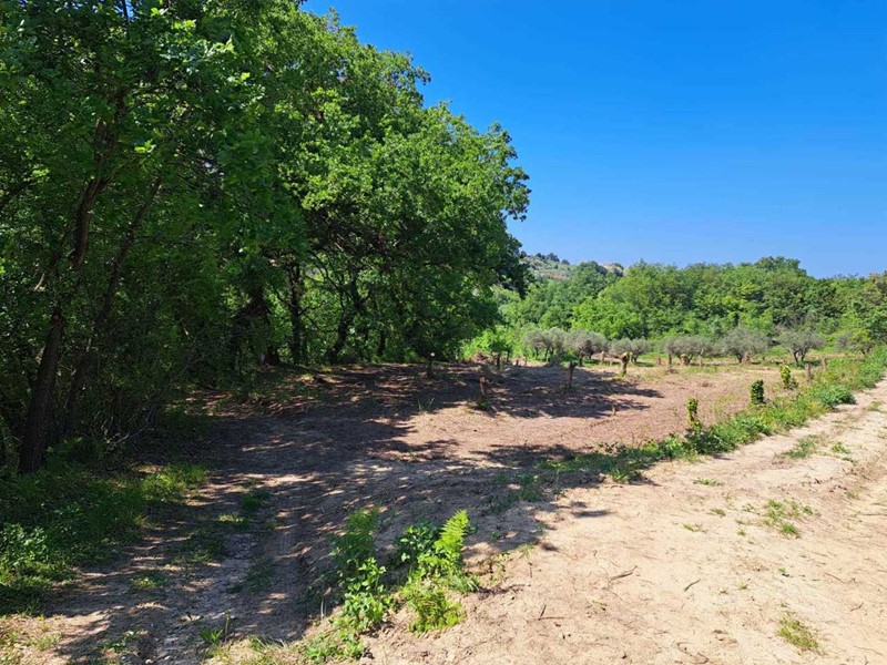 Casa Indipendente in Vendita a Treglio, 30'000€, 500 m²