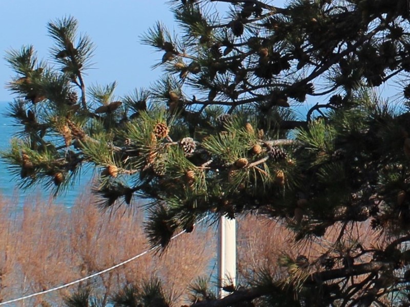 Terreno edificabile in Vendita a Fossacesia, zona Fossacesia Marina, 120'000€, 1220 m²