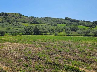 Terreno agricolo in Vendita a Castel Frentano, 54'000€, 20000 m²
