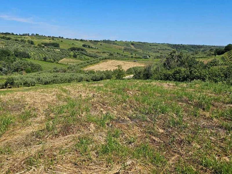Terreno agricolo in Vendita a Castel Frentano, 54'000€, 20000 m²