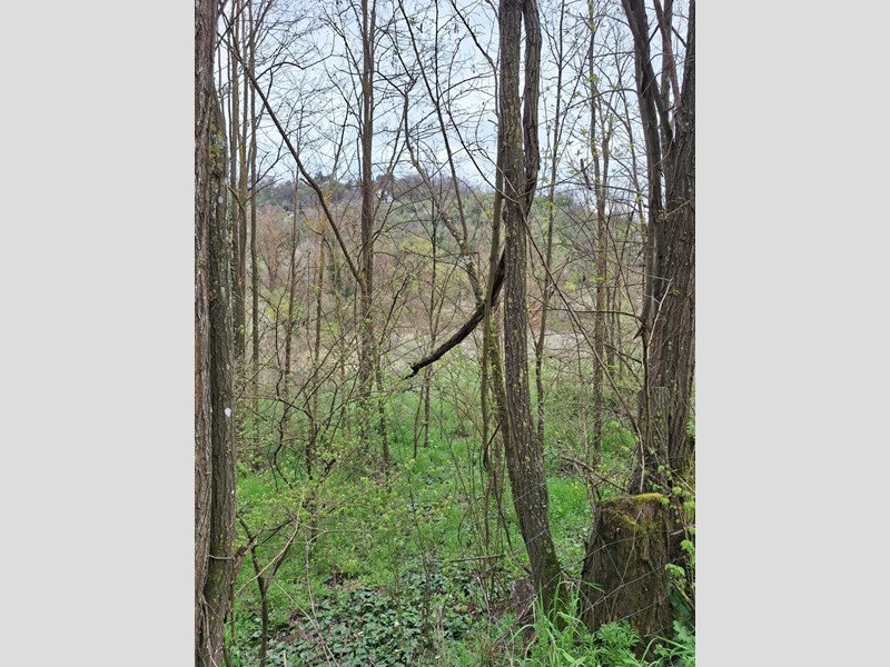 Terreno agricolo in Vendita a Morlupo, 8'000&euro;, 8000 m²