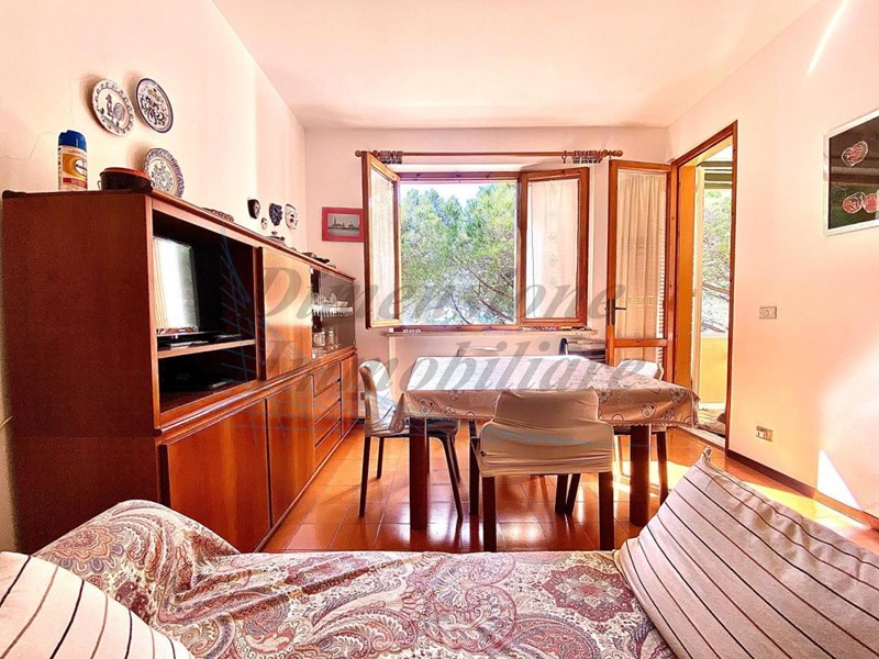 Trilocale in Vendita a Rosignano Marittimo, zona Castiglioncello, 209'000€, 70 m², arredato