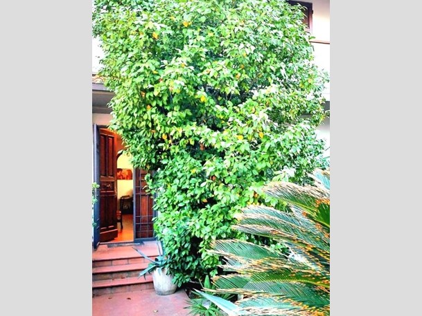 Casa Indipendente in Vendita a Prato, zona Galciana, 349'000€, 175 m², con Box