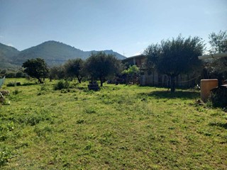 Terreno agricolo in Vendita a Tivoli, 99'000€, 5167 m²