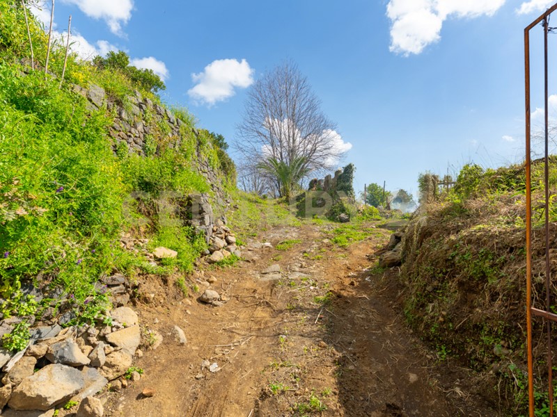 Terreno agricolo in Vendita a Giarre, 79'000€, 10000 m²