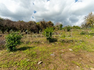 Terreno agricolo in Vendita a Giarre, 79'000€, 10000 m²
