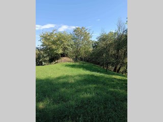 Terreno agricolo in Vendita a Castegnero, 14'000&euro;, 2212 m²