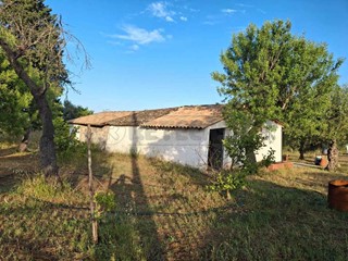 Terreno agricolo in Vendita a Siracusa, 50'000€, 20 m²