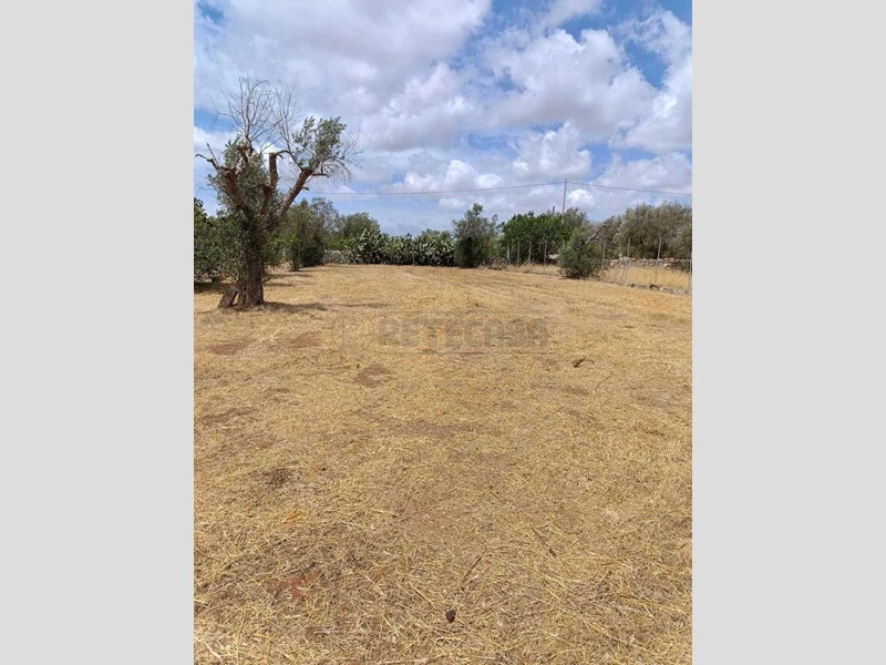 Terreno agricolo in Vendita a Corigliano d'Otranto, 25'000€, 