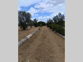 Terreno agricolo in Vendita a Corigliano d'Otranto, 25'000€, 
