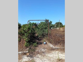 Terreno agricolo in Vendita a Maglie, 15'000€, 1300 m²