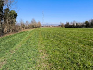 Terreno agricolo in Vendita a Montecchio Precalcino, 45'000&euro;, 7710 m²