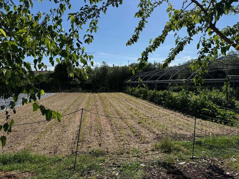 Terreno agricolo in Vendita a Pietrasanta, 60'000€, 1990 m²