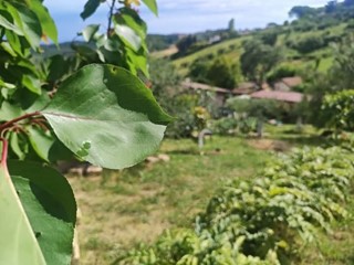 Terreno agricolo in Vendita a Fonte Nuova, 39'000€, 1800 m²