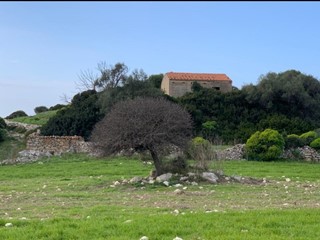 Terreno agricolo in Vendita a Cuglieri, 189'000€, 90 m²