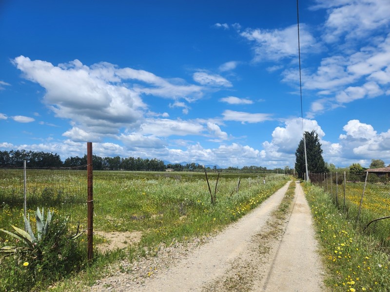 Terreno agricolo in Vendita a Decimomannu, 35'000&euro;, 18600 m²