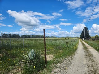 Terreno agricolo in Vendita a Decimomannu, 35'000&euro;, 18600 m²