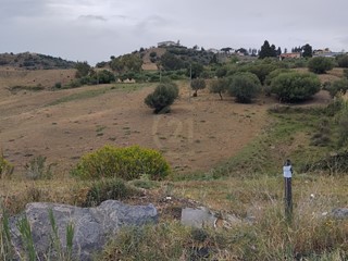 Terreno agricolo in Vendita a Motta Sant'Anastasia, zona Centro, 40'000€, 7500 m²